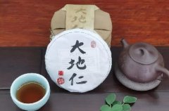 大地仁 · 古樹普洱茶 | 5.21國際茶日